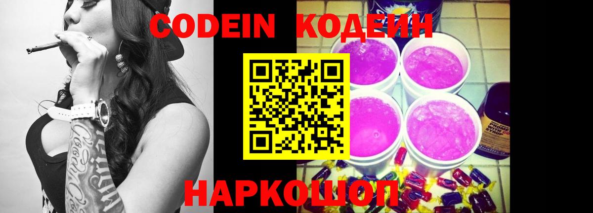 магазин продажи наркотиков  Кодеин напиток Lean (лин)  Вход с VPN  Заводоуковск 