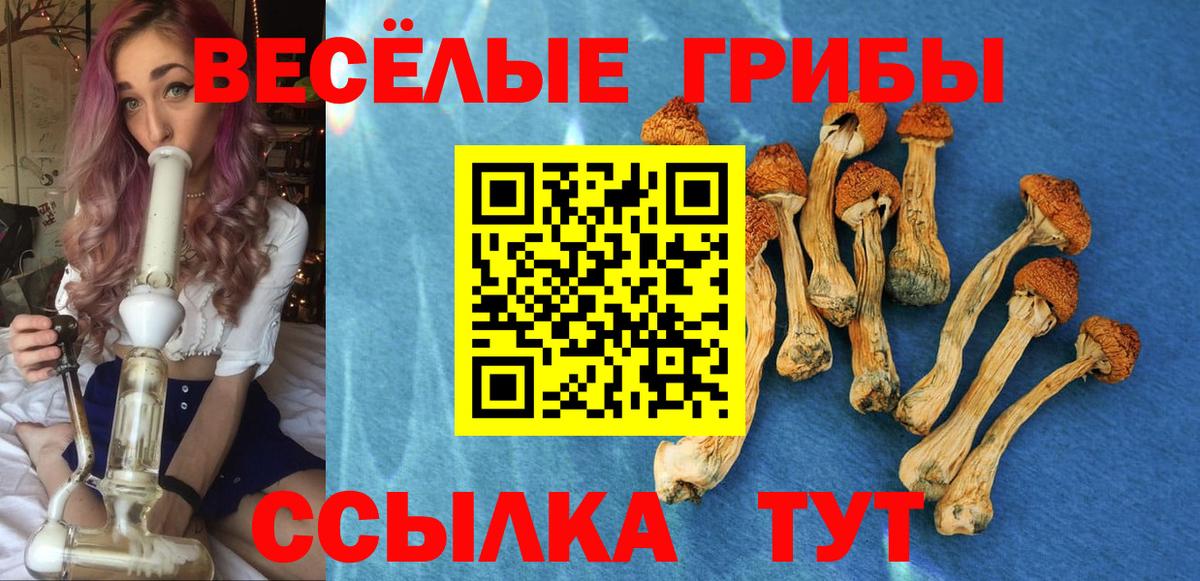 Псилоцибиновые грибы Magic Shrooms Заводоуковск