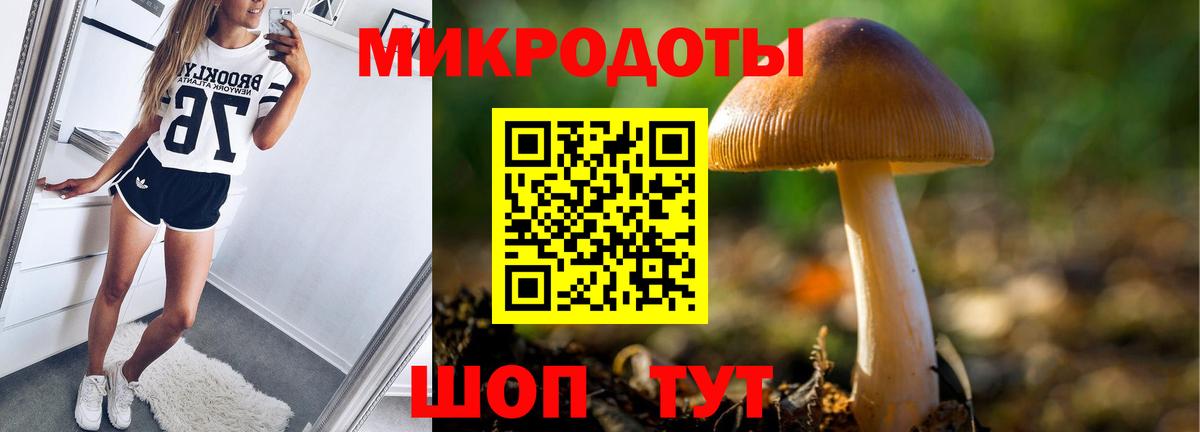 Заводоуковск  Галлюциногенные грибы мухоморы  продажа наркотиков  Вход с VPN 